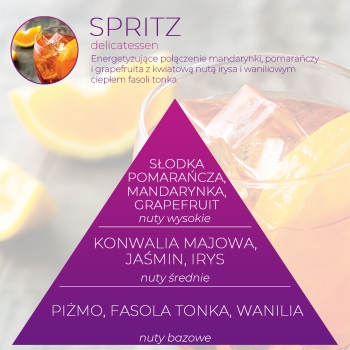 <B>SPRITZ</B> SPRAY 250 ml odświeżacz powietrza PREMIUM